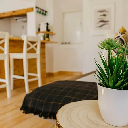 Casa Roaz 게스트하우스 세투발