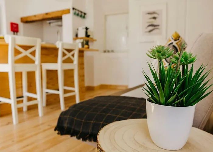 Casa Roaz Πανσιόν Σετούμπαλ